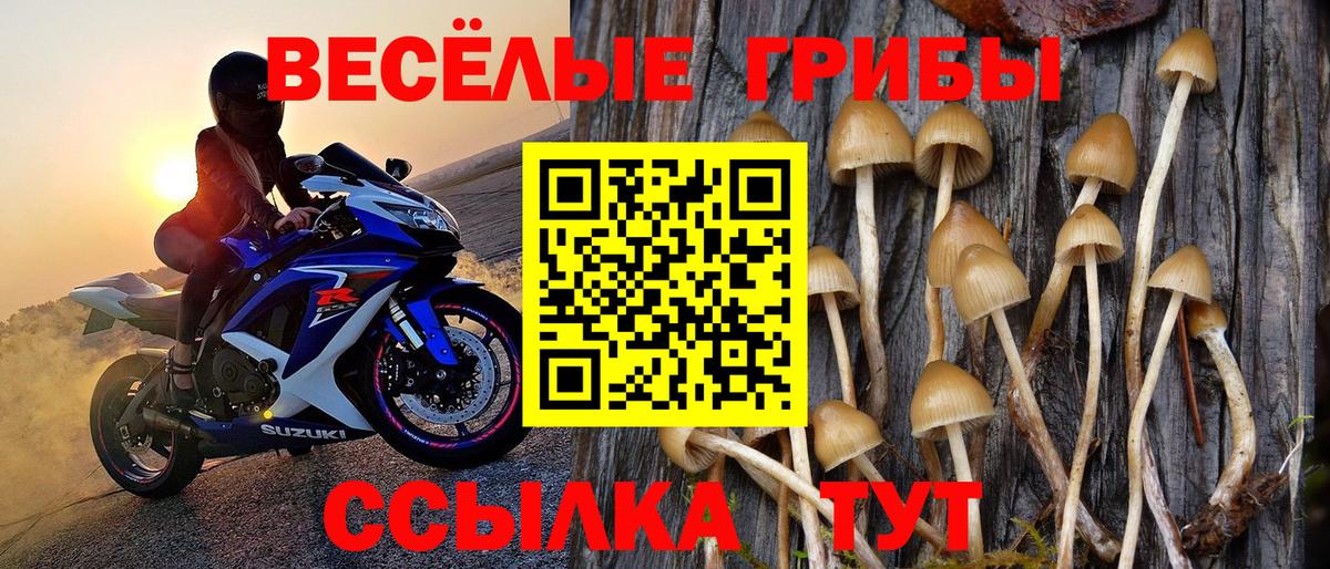Псилоцибиновые грибы GOLDEN TEACHER  Вход с VPN  Псилоцибиновые грибы ЛСД  Искитим 